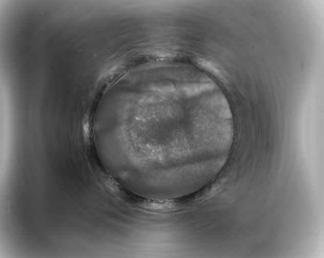 X0000086890720200704300957