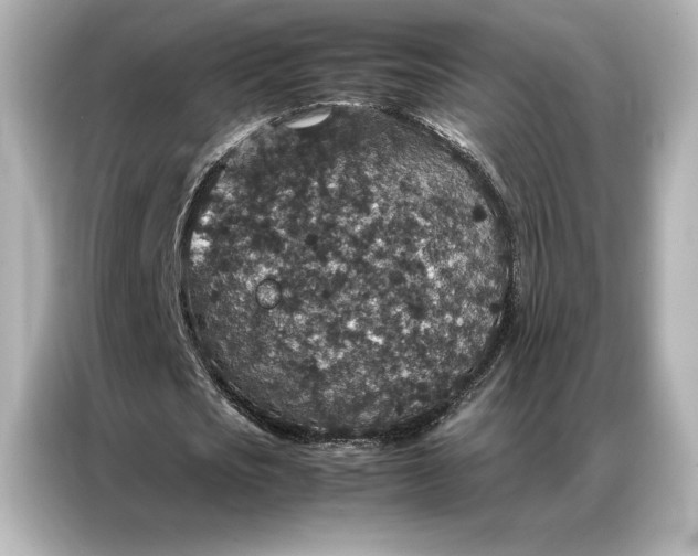 X0000086890721200704300956