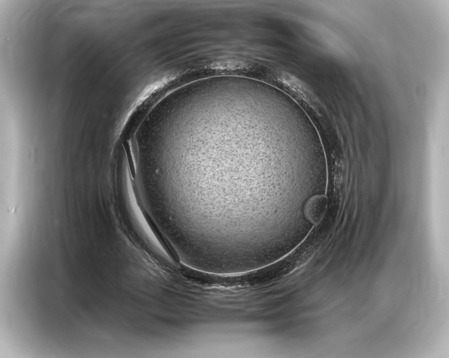 X0000086890727200704300956