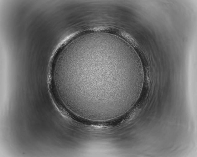 X0000086890728200704300956