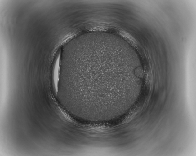 X0000086890729200704300956