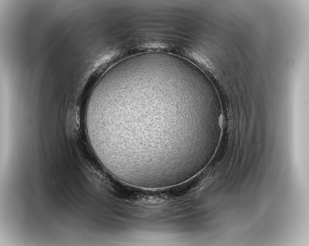 X0000086890731200704300956