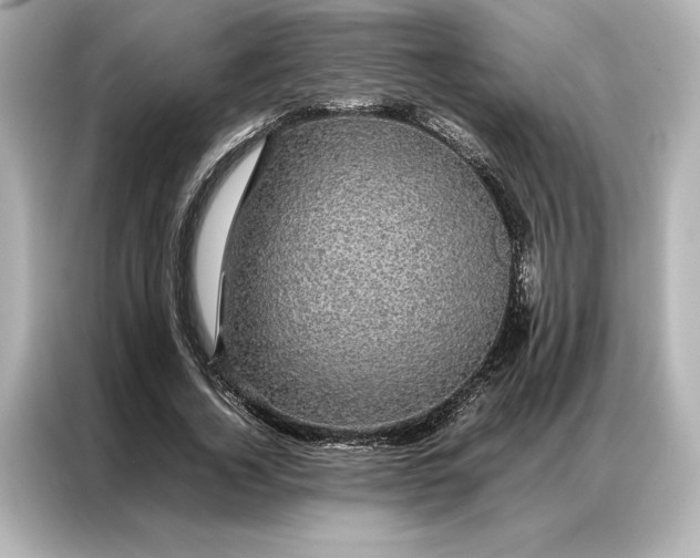 X0000086890732200704300956