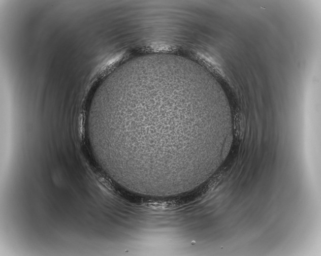 X0000086890740200704300956