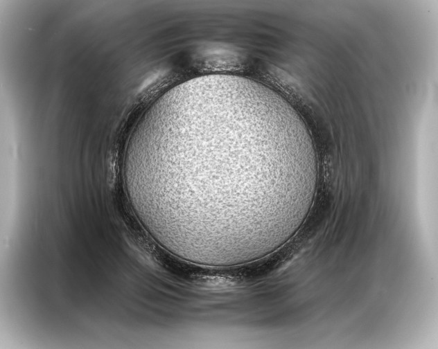 X0000086890741200704300956