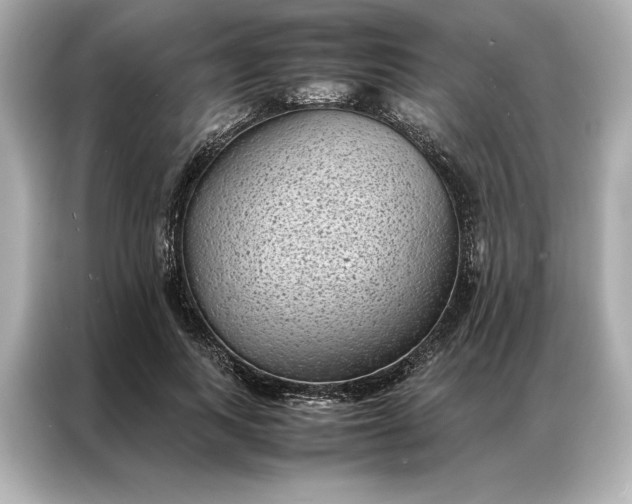 X0000086890743200704300956