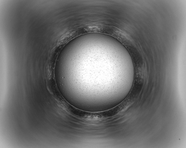 X0000086890751200704300956