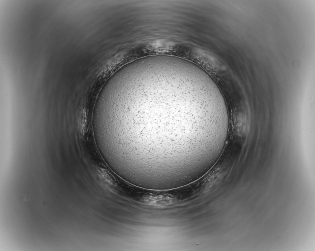 X0000086890752200704300956