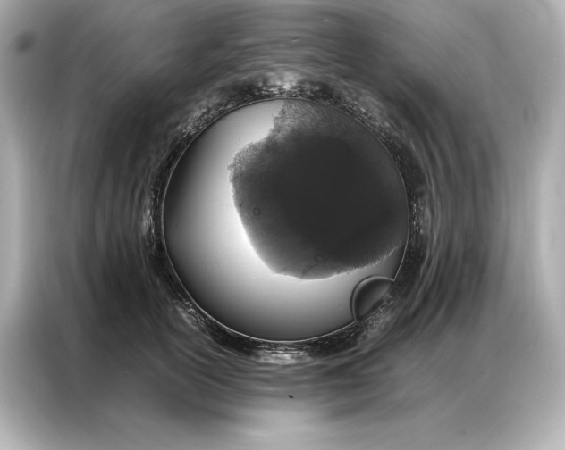 X0000086890754200704300956