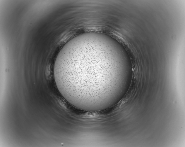 X0000086890764200704300957