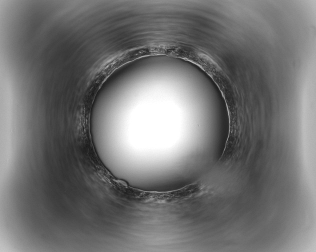 X0000086890773200704300956