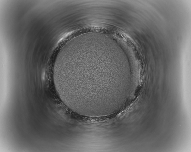 X0000086890776200704300956