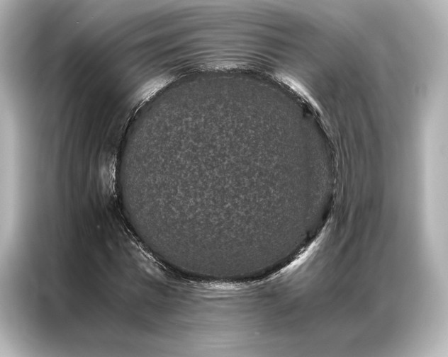 X0000086890777200704300956