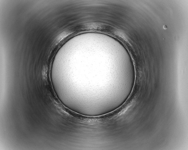 X0000086890778200704300956