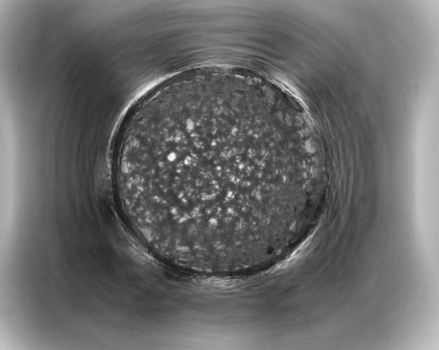 X0000086890779200704300956