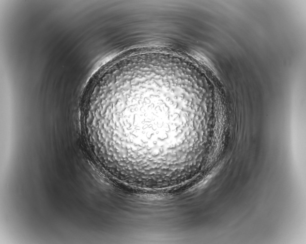 X0000086890781200704300956