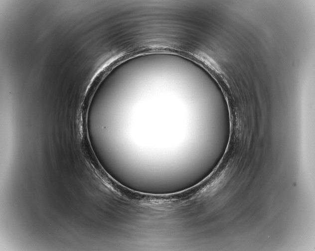 X0000086890782200704300956