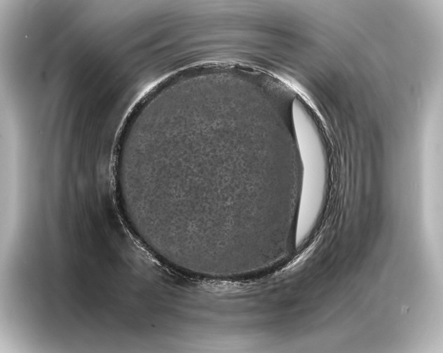 X0000086890783200704300956