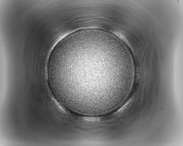 X0000086890789200704300956