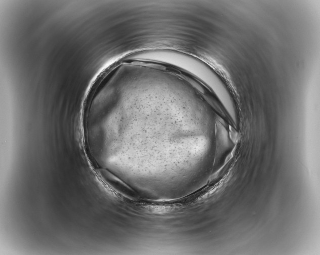 X0000086890792200704300956