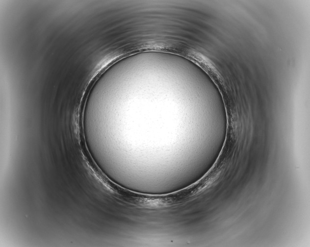 X0000086890794200704300956