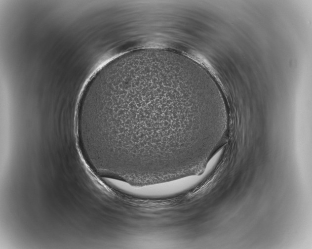 X0000086890795200704300956