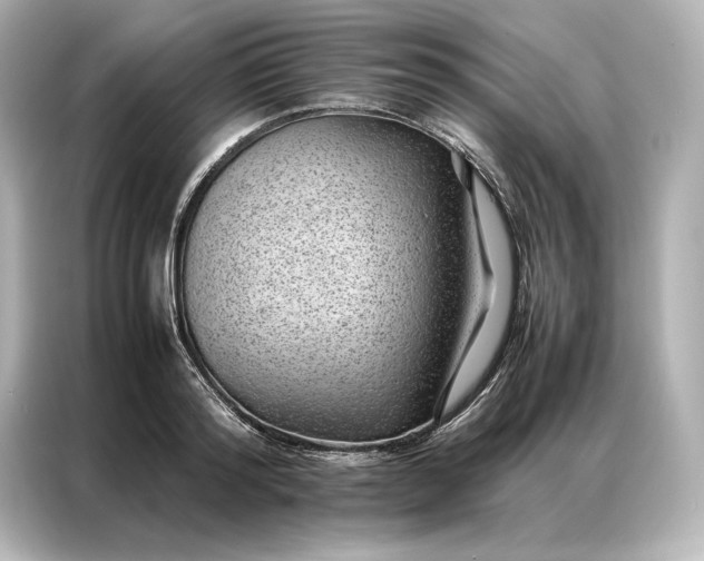 X0000086890796200704300956