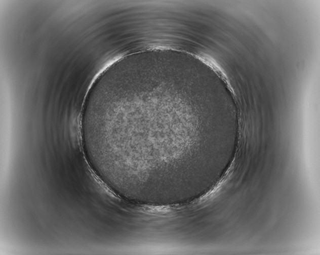 X0000086890798200704300956