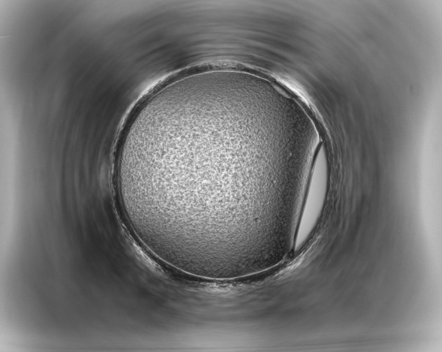 X0000086890799200704300956