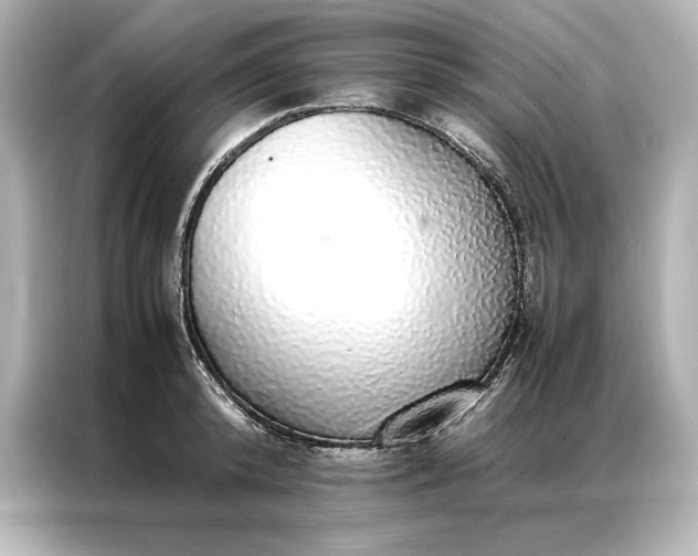 X0000086890800200704300956