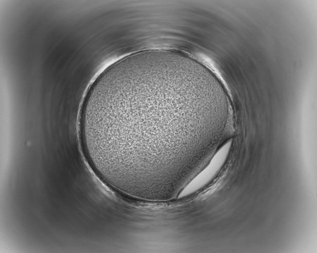 X0000086890803200704300956