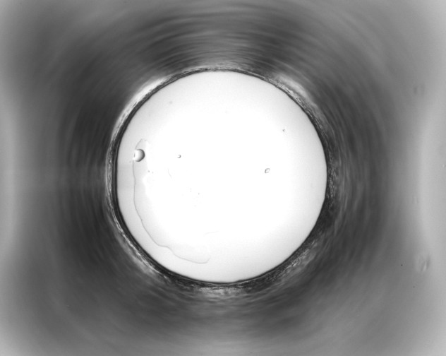 X0000086890804200704300956