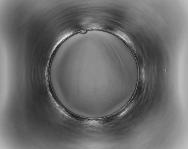 X0000086890806200704300955