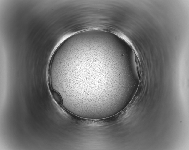 X0000086890811200704300955