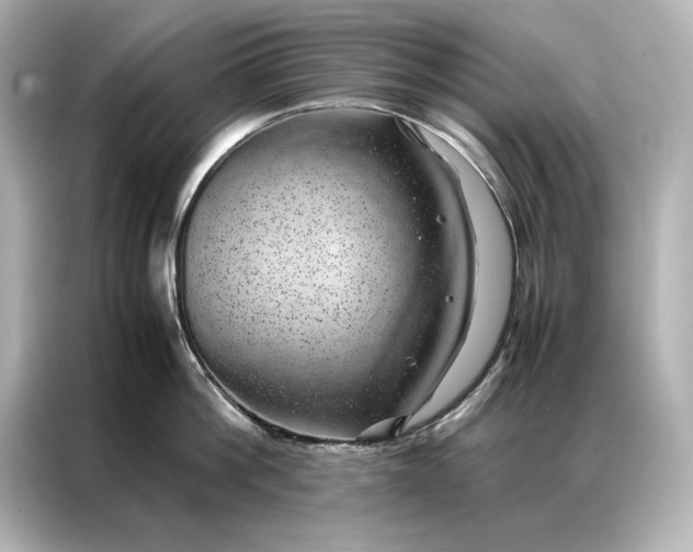 X0000086890812200704300955