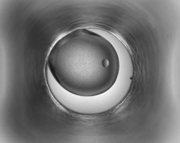 X0000086890813200704300955