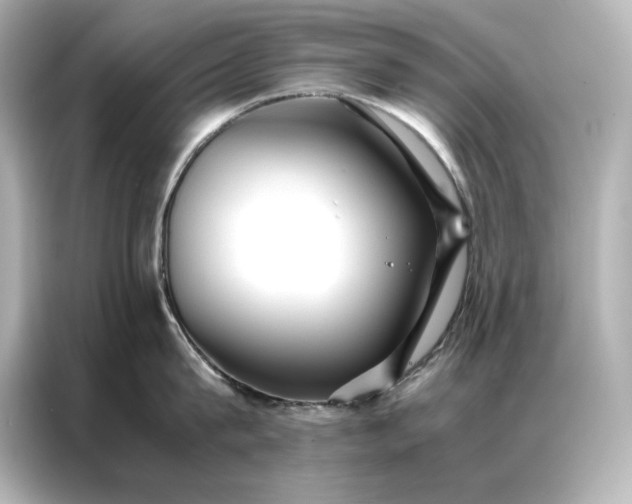 X0000086890815200704300955