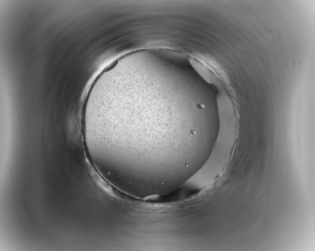 X0000086890816200704300955