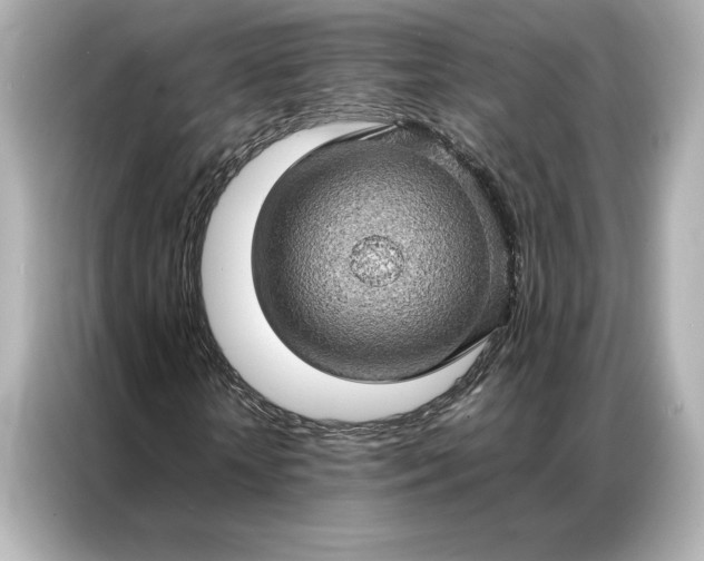 X0000086890818200704300955