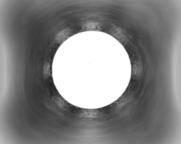 X0000086890820200704300955