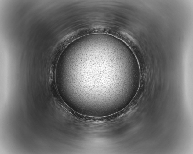 X0000086890821200704300955