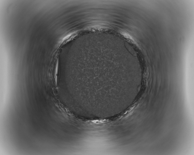 X0000086890822200704300955