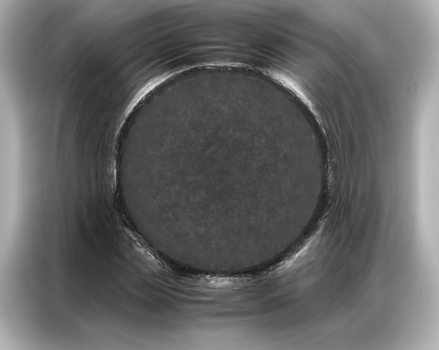 X0000086890829200704300955