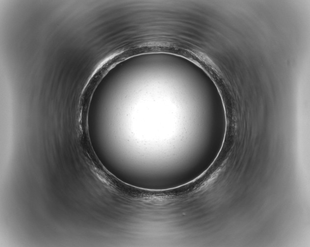 X0000086890830200704300955