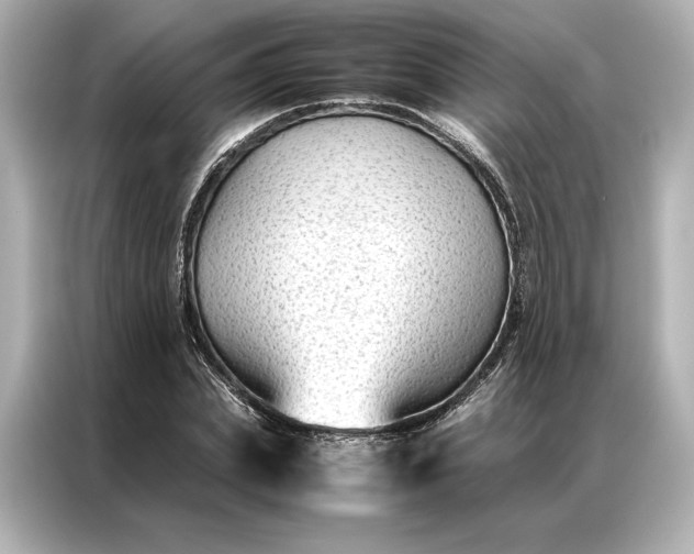 X0000086890831200704300955