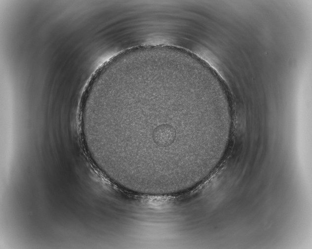 X0000086890832200704300955