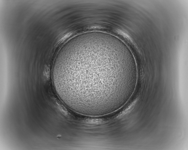 X0000086890833200704300955