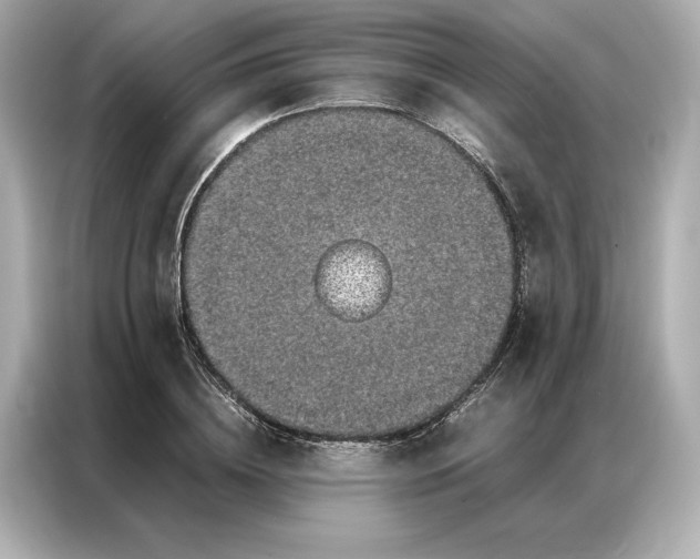 X0000086890836200704300955