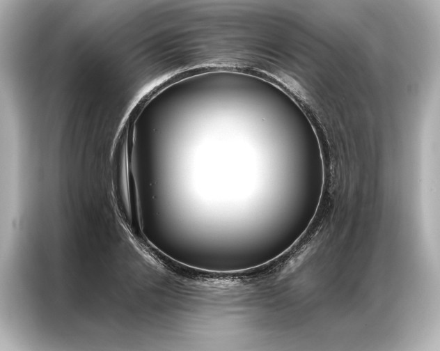 X0000086890838200704300955