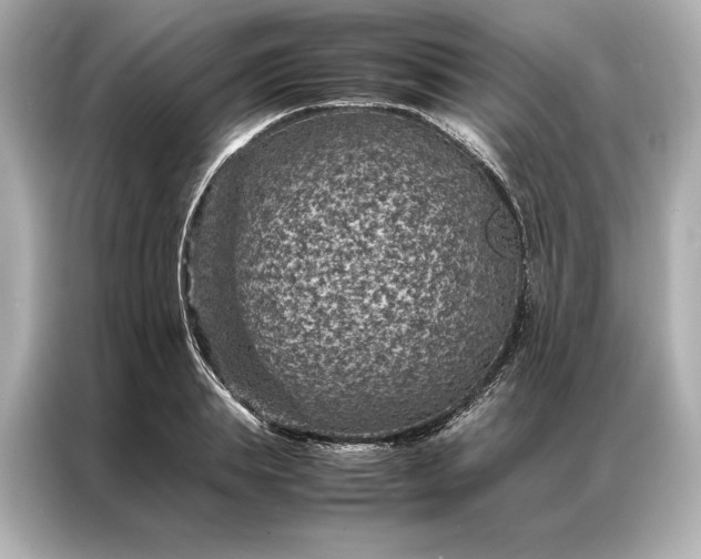 X0000086890839200704300955